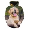 Labrador men hoodie