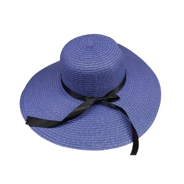 blue wide brim strow hat