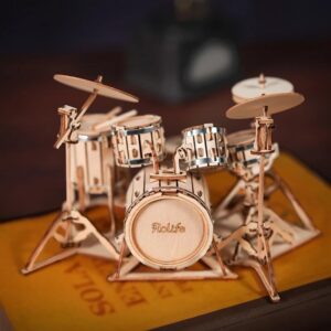 DIY 3D Wooden Musical Instrument Model Kit