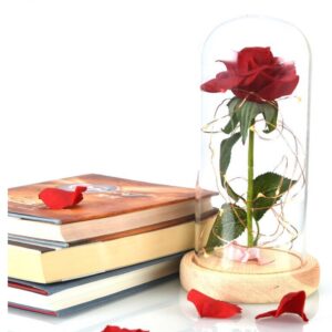 LED Light Enchanted Forever Rose Flower In Glass