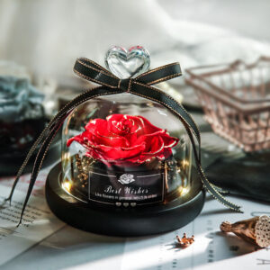 Real Eternal Rose Dried Flowers With LED Light In Glass