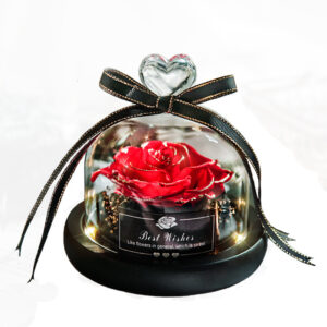 Real Eternal Rose Dried Flowers With LED Light In Glass