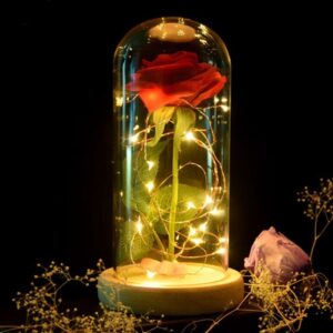 LED Light Enchanted Forever Rose Flower In Glass