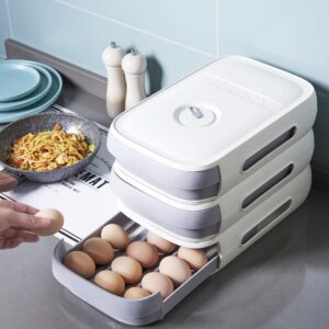 Kitchen Drawer Type Dumpling and Egg Storage Box: Refrigerator Organizer and Household Holder