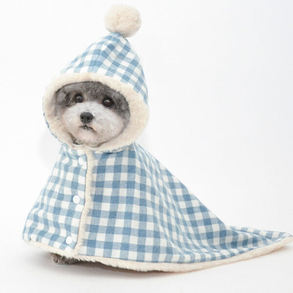 Clothes for Dog