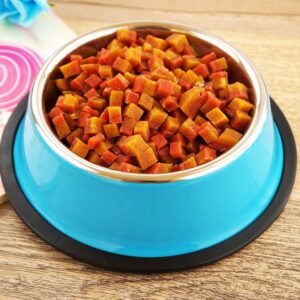 2-in-1 Pet Bowl and Basin
