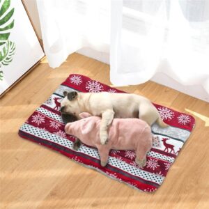 Get Two Looks in One with Our Reversible Dog Mat