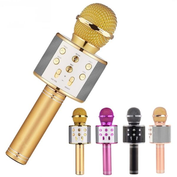 Karaoke Microphone