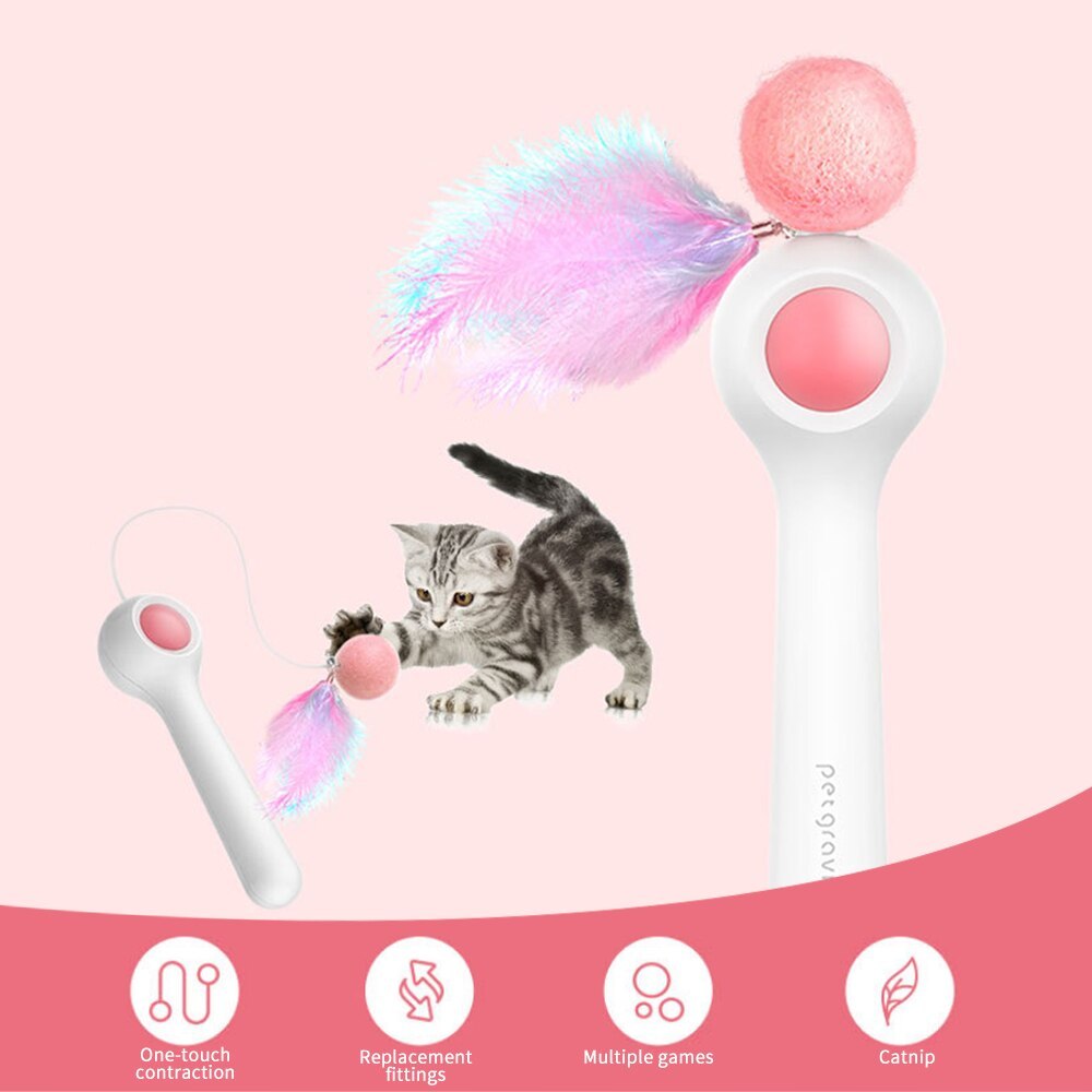 Extendable Cat Wand