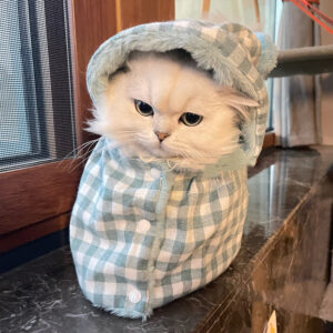Keep Your Feline Cozy with a Pet Clothes Cat Cape