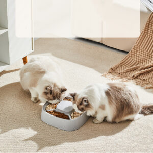 Get Your Paws on a Stylish and Customizable Multi Cat Bowl