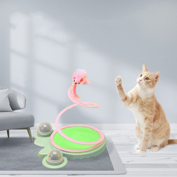 Spring Coil Cat Toy