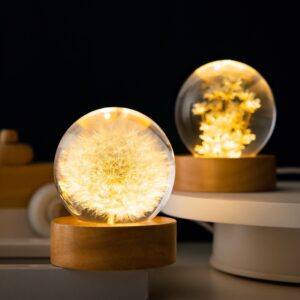 Preserved Flower Sphere Ball Night Light with Luminous 3D Dandelion and Beech Wood Stand Base