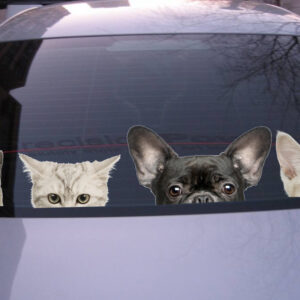 Add Some Whimsy to Your Car with 3D Animal Peeking Stickers