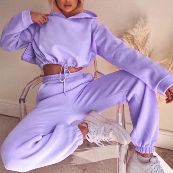 Stay Fit and Cozy with This Women's 2 Piece Fluffy Sweatsuit - Image 3