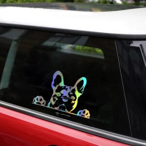Add Some Personality to Your Car with a Set of Reflective Dog Stickers