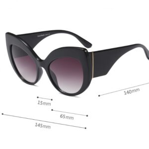 Women’s Trendy Oversized Cat Eye Sunglasses
