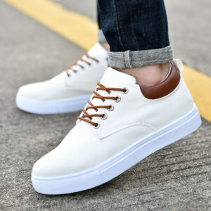 Casual Canvas Shoes for Men with Breathable Design