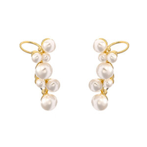 Special Shaped Stud Pearl Earrings for Women