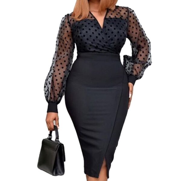 Women Sheer Long Sleeves Polka Dot Bodycon Dress