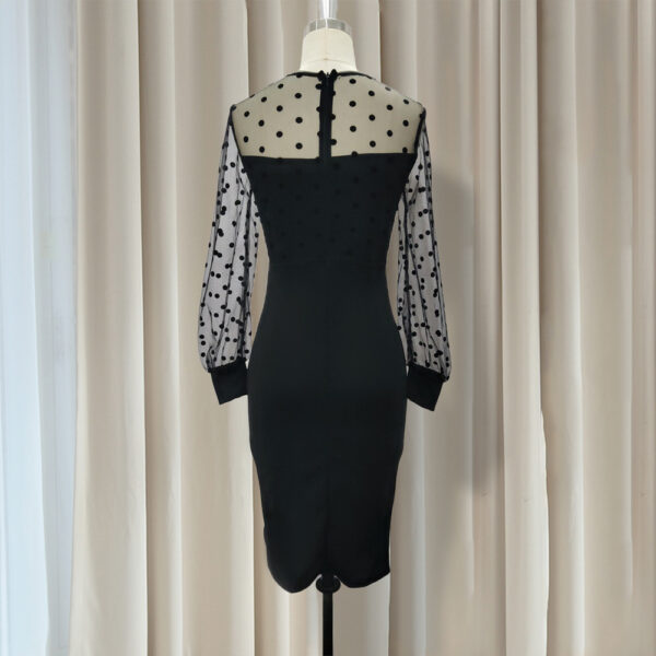 Women Sheer Long Sleeves Polka Dot Bodycon Dress - Image 3