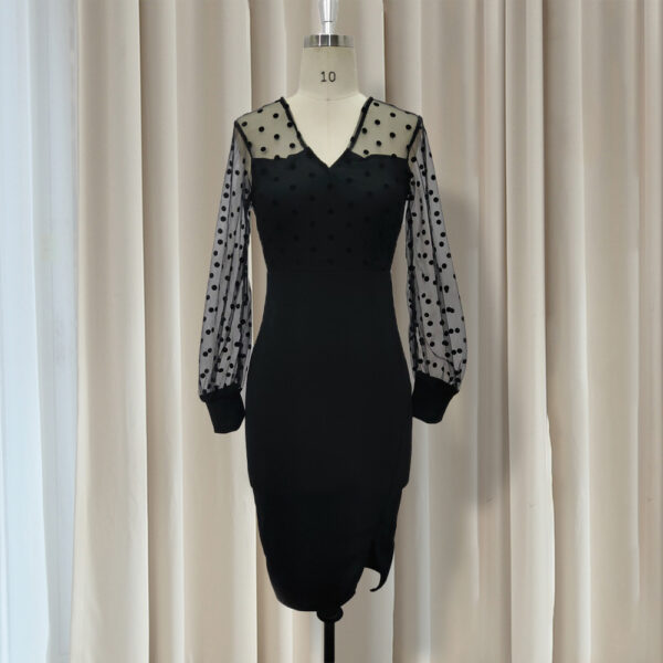 Women Sheer Long Sleeves Polka Dot Bodycon Dress - Image 2