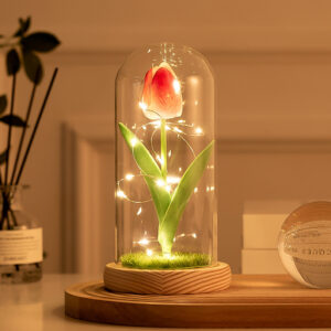 Artificial Tulip in Glass Cover with Subtle String Lights