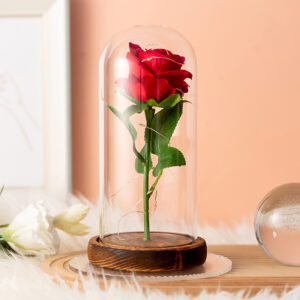 Enchanted Rose Glowing with LED Lights in Glass Dome