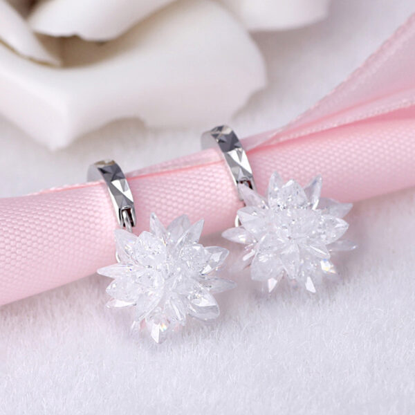 New fashion pure beauty ice 925 silver earrings hypoallergenic non-fading earrings - Image 5