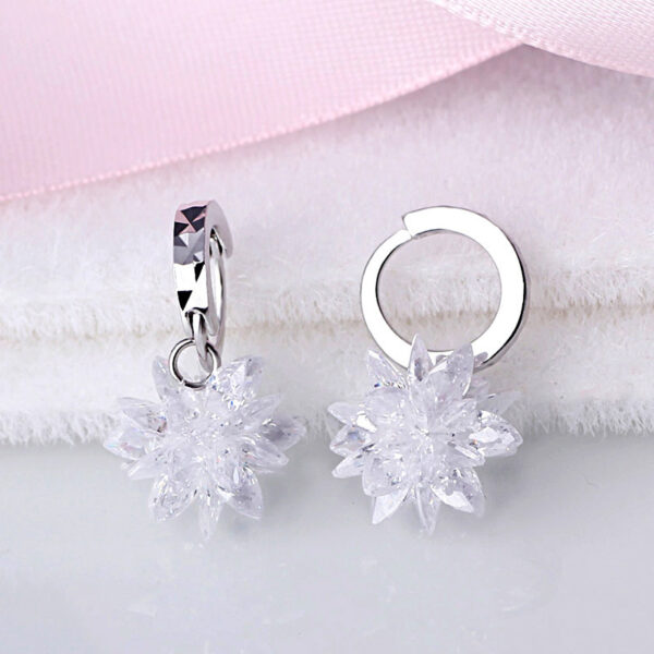 New fashion pure beauty ice 925 silver earrings hypoallergenic non-fading earrings - Image 3